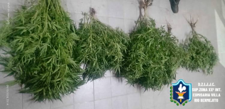 SECUESTRAN PLANTAS DE MARIHUANA TRAS SER ARROJADOS POR DOS SUJETOS