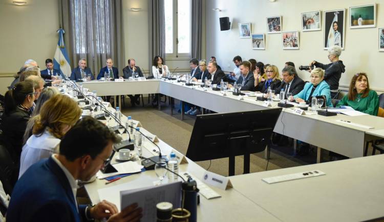 CONSEJO FEDERAL DE EDUCACIÓN: LA MINISTRA NAIDENOFF DIO PRECISIONES SOBRE LA PROPUESTA DE FORMACIÓN PROFESIONAL DOCENTE