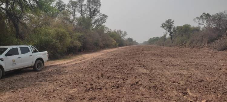 EL GOBIERNO PROVINCIAL TRABAJA EN LA APERTURA DE UN CAMINO EN EL IMPENETRABLE CHAQUEÑO  