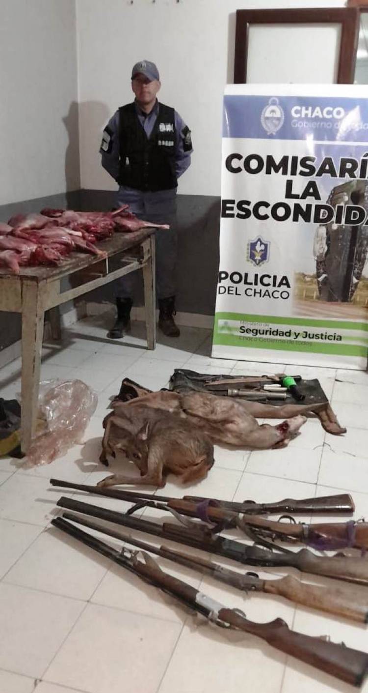 ATRAPAN A CINCO PERSONAS POR CAZA ILEGAL: POSEÍAN SEIS “GUAZUNCHOS” Y VARIAS ARMAS DE FUEGO