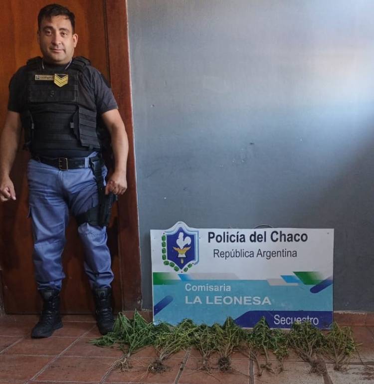 DESCUBRIERON UNA PLANTACIÓN DE CANNABIS EN LA CASA DE UN INTERNO DEL COMPLEJO PENITENCIARIO N°1