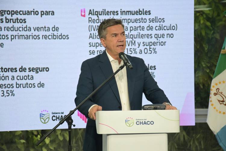 DELGADO SOBRE REDUCCIÓN DE ALÍCUOTAS DE INGRESOS BRUTOS: “VAMOS A TRABAJAR PARA PROPICIAR LAS HERRAMIENTAS DE ALIVIO PARA LOS CHAQUEÑOS”