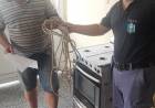 VILLA ÁNGELA: SE ROBO UNA COCINA Y UNA SOGA  PERO FUE DETENIDO     