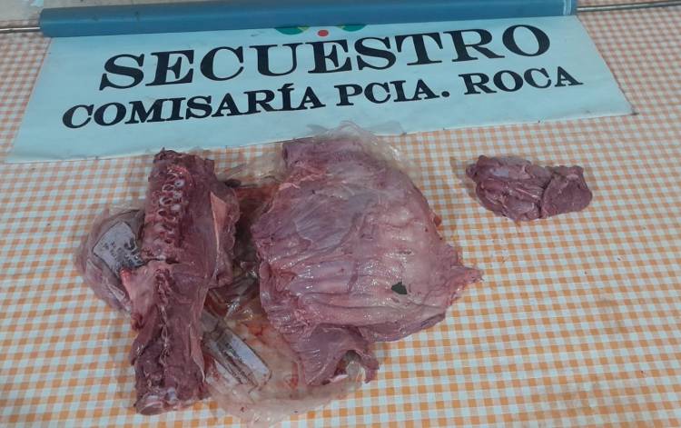 PRETENDIAN TRANSPORTAR CARNE FAENADA DE UN ANIMAL SILVESTRE 