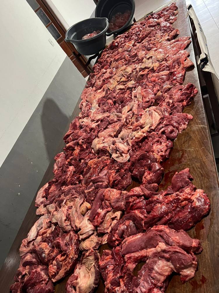 DETUVIERON A UN EMPLEADO DEL FRIGORÍFICO MUNICPAL POR ROBAR CARNE 