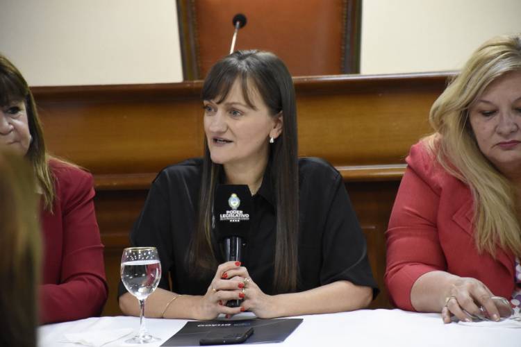LA VICEGOBERNADORA SCHNEIDER ACOMPAÑÓ EL RECONOCIMIENTO A MUJERES, EN VÍSPERAS AL 41° ANIVERSARIO DEL RETORNO DE LA DEMOCRACIA